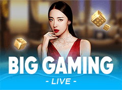 Big Gaming 标志