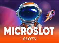 MicroSlot 标志