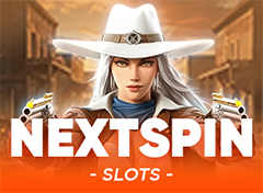 Next Spin 标志
